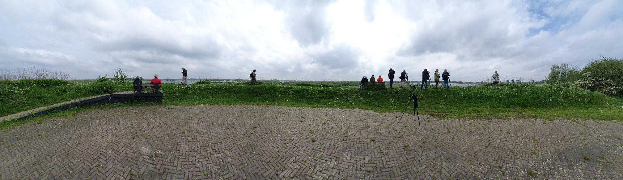 Vogelaars (Tiengemeten). Foto van Johan Meijer.